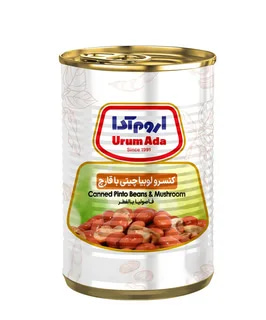 تصویر 3 از معرفی کنسرو لوبیا چیتی با قارچ + بهترین قیمت خرید